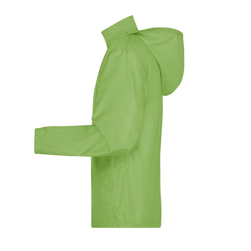 vert printemps