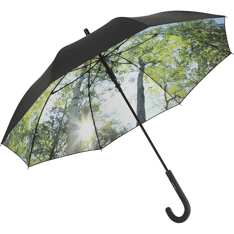 noir-design forêt