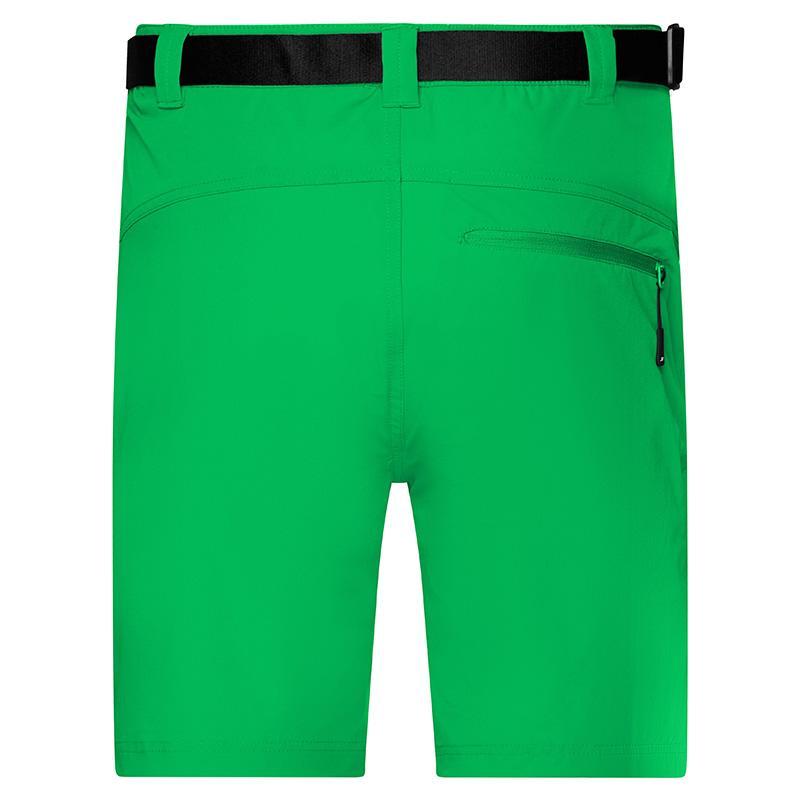 vert-fougere
