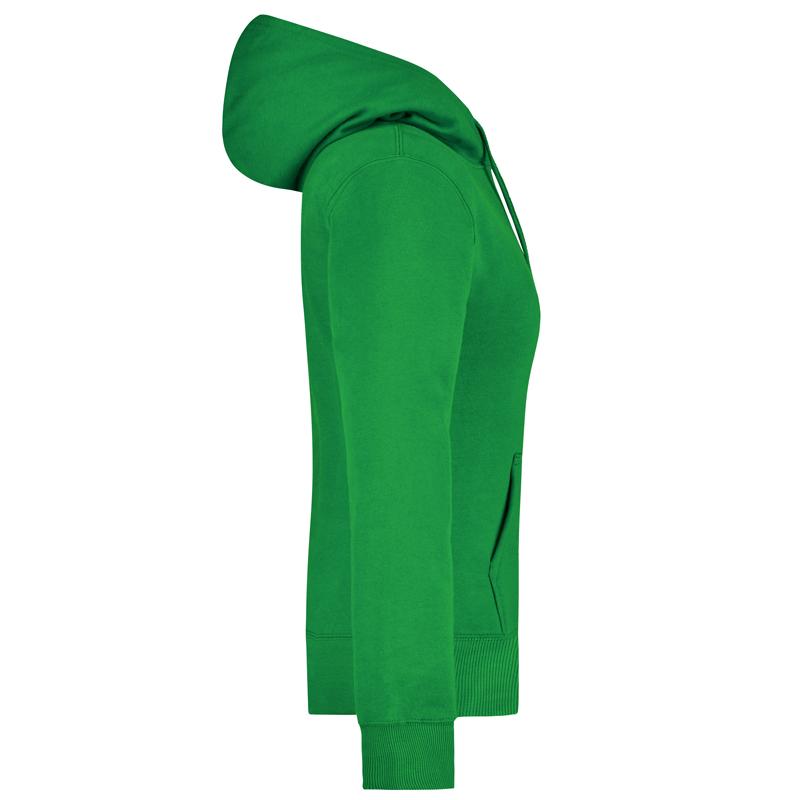 vert-fougere