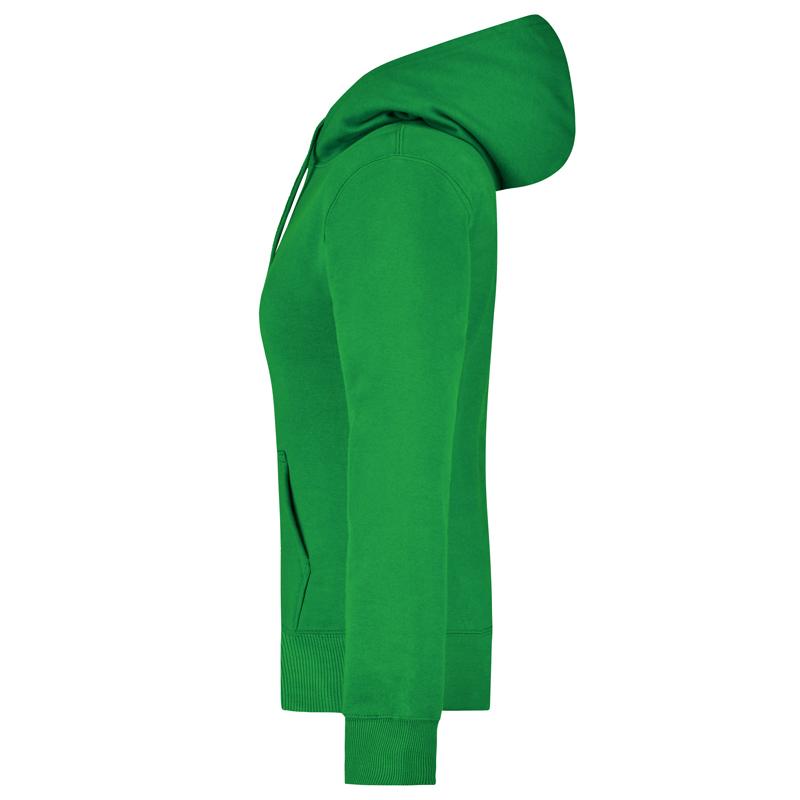 vert-fougere