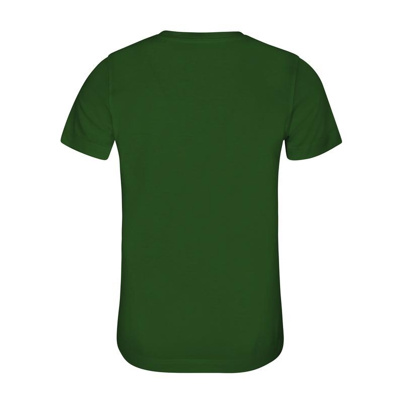vert bouteille