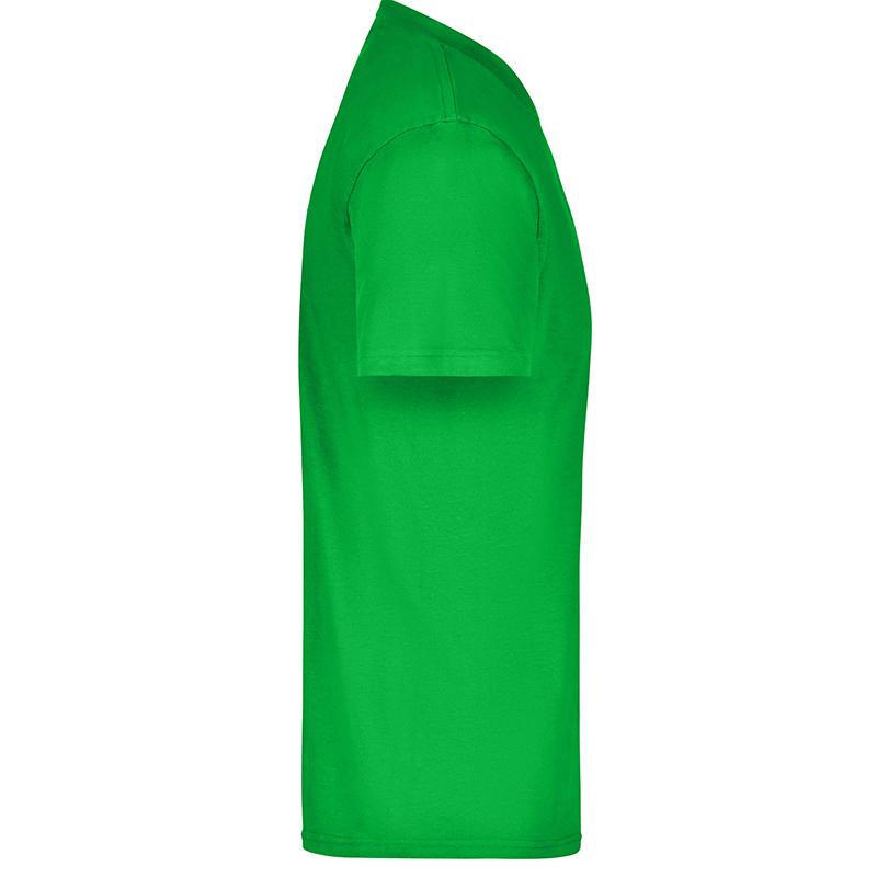vert-fougere