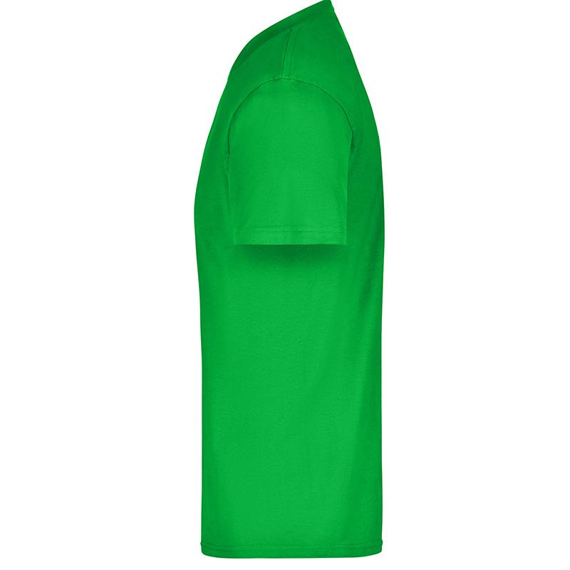 vert-fougere