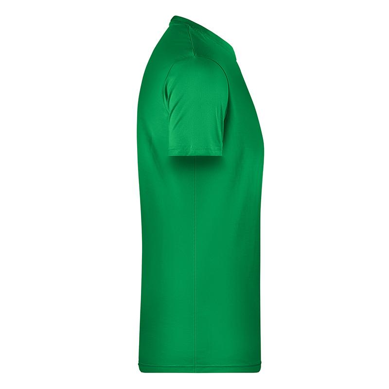 vert-fougere