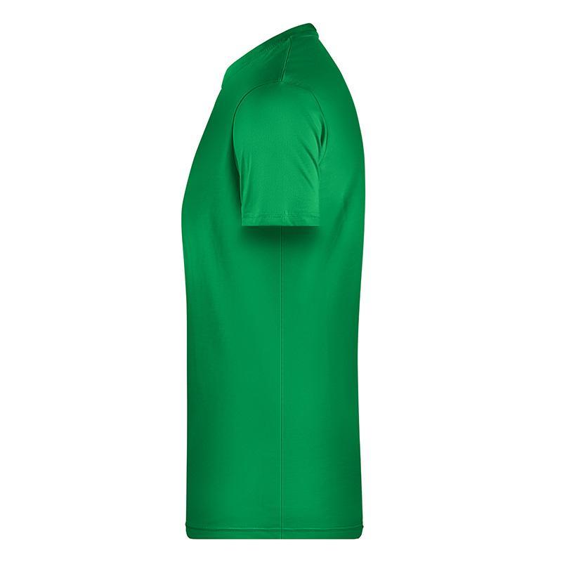 vert-fougere