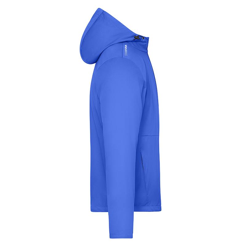 bleu-paon