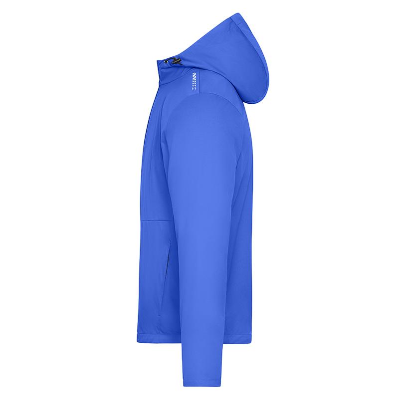 bleu-paon