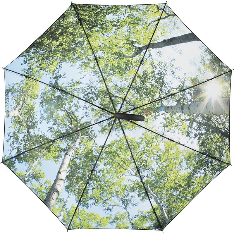 noir-design forêt