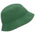 vert foncé/beige