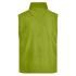 vert citron