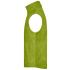 vert citron