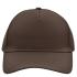 marron foncé