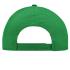 vert-fougere