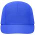 bleu-paon