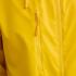jaune tournesol