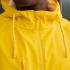 jaune tournesol
