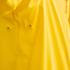 jaune tournesol