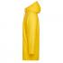 jaune tournesol