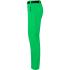 vert-fougere