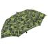 combi olive