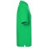vert-fougere