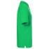 vert-fougere