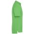 vert citron/vert citron-blanc