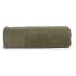 olive verte