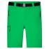 vert-fougere