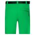vert-fougere