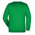vert-fougere