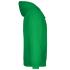 vert-fougere