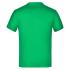 vert-fougere