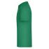vert irlandais