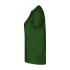 vert bouteille
