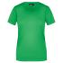 vert-fougere