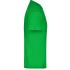 vert-fougere