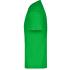 vert-fougere