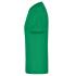 vert irlandais