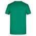 vert irlandais