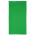 vert-fougere