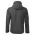 gris acier
