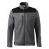 gris acier