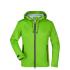 vert-printemps/gris-fer