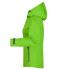 vert-printemps/gris-fer
