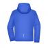 bleu-paon