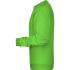 vert-citron