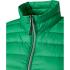 vert-fougère/argent